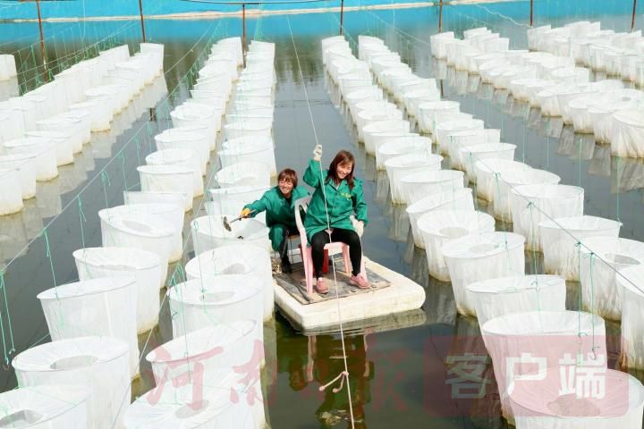 |汝阳：发展水蛭养殖 带动村民致富