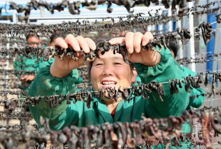 |汝阳：发展水蛭养殖 带动村民致富