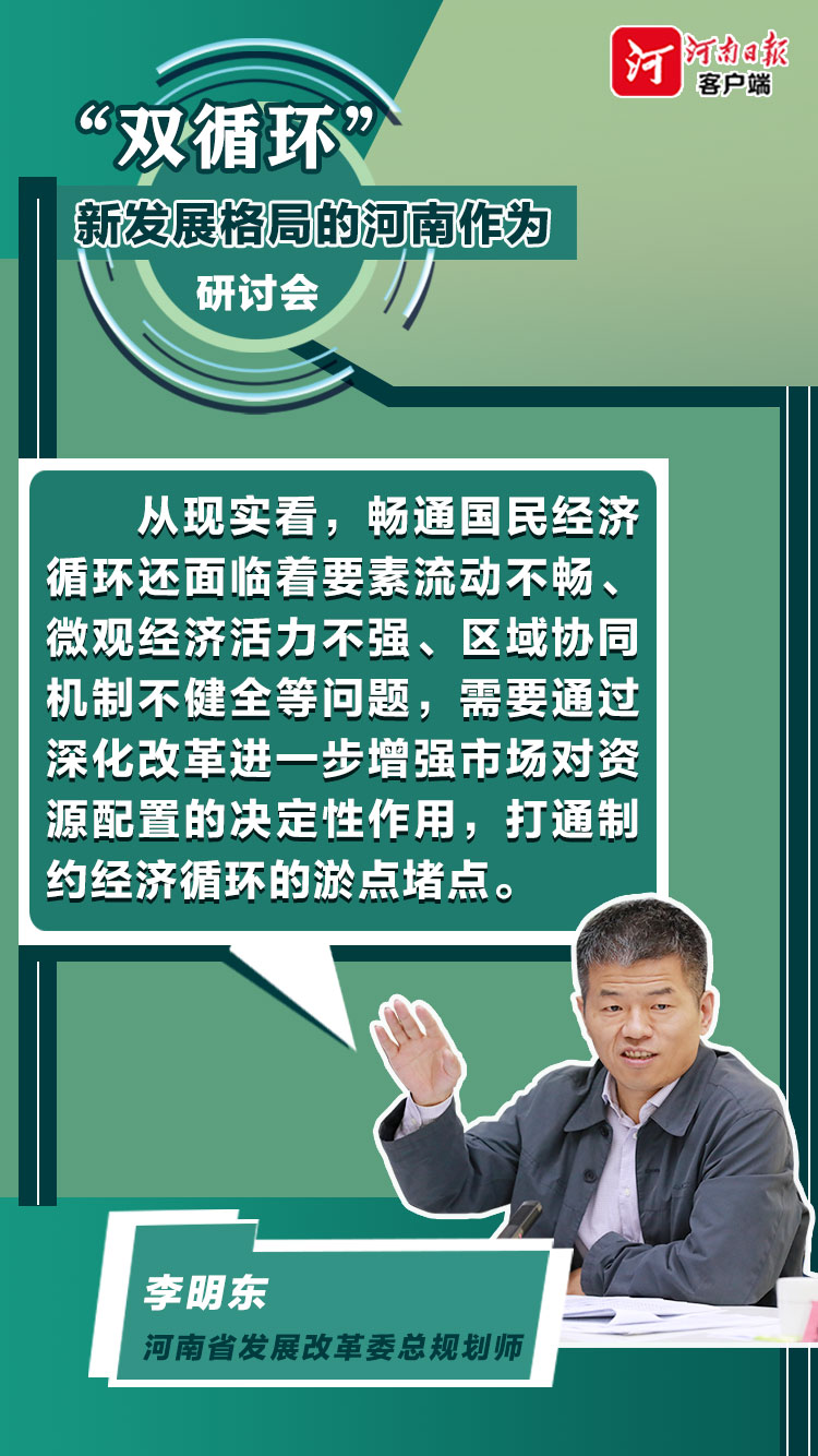 双循环下河南如何作为?咱们专家有话说