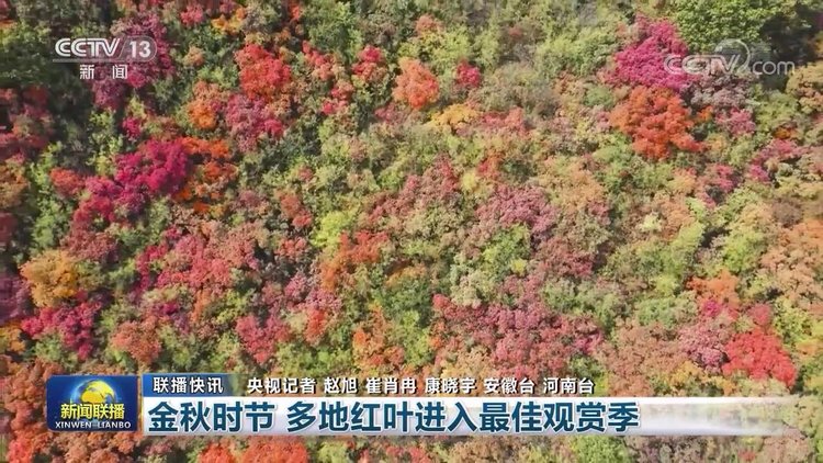 |【央视联播关注河南】金秋时节到 焦作红叶美