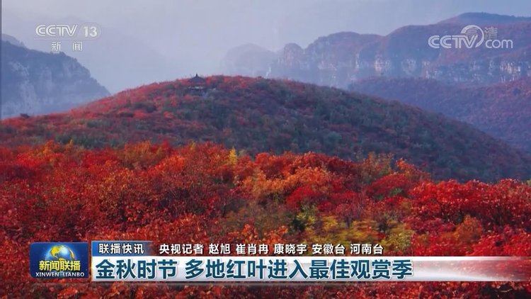 |【央视联播关注河南】金秋时节到 焦作红叶美