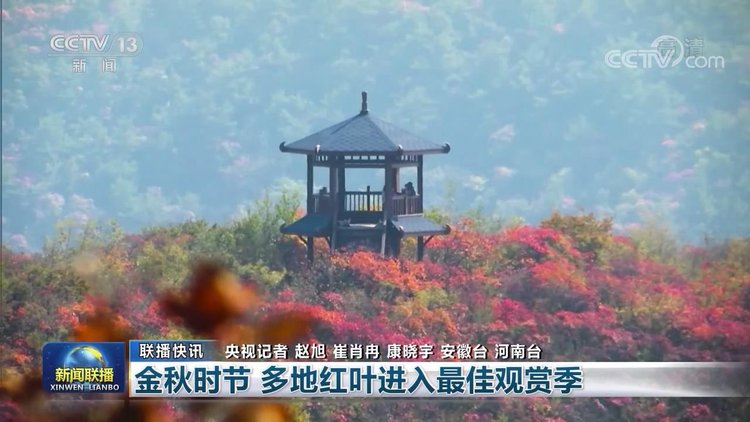 |【央视联播关注河南】金秋时节到 焦作红叶美