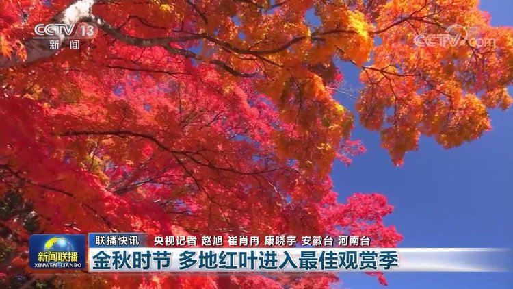 |【央视联播关注河南】金秋时节到 焦作红叶美