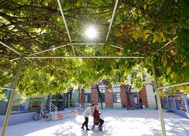 |影像回眸“十三五”——共享发展