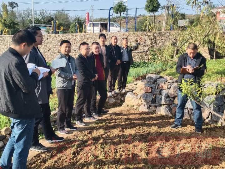 |淅川：好桃好管理 静待来年收