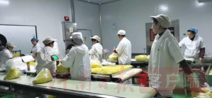 |不是夜市，乡村夜经济也如此强劲！