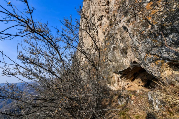 |记者节前夕，追忆新华社太行烈士