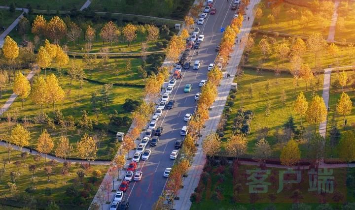 |中心城区拆迁出的10亩以下地块全部用于绿地建设……郑州这个《指导意见》等您来建言！