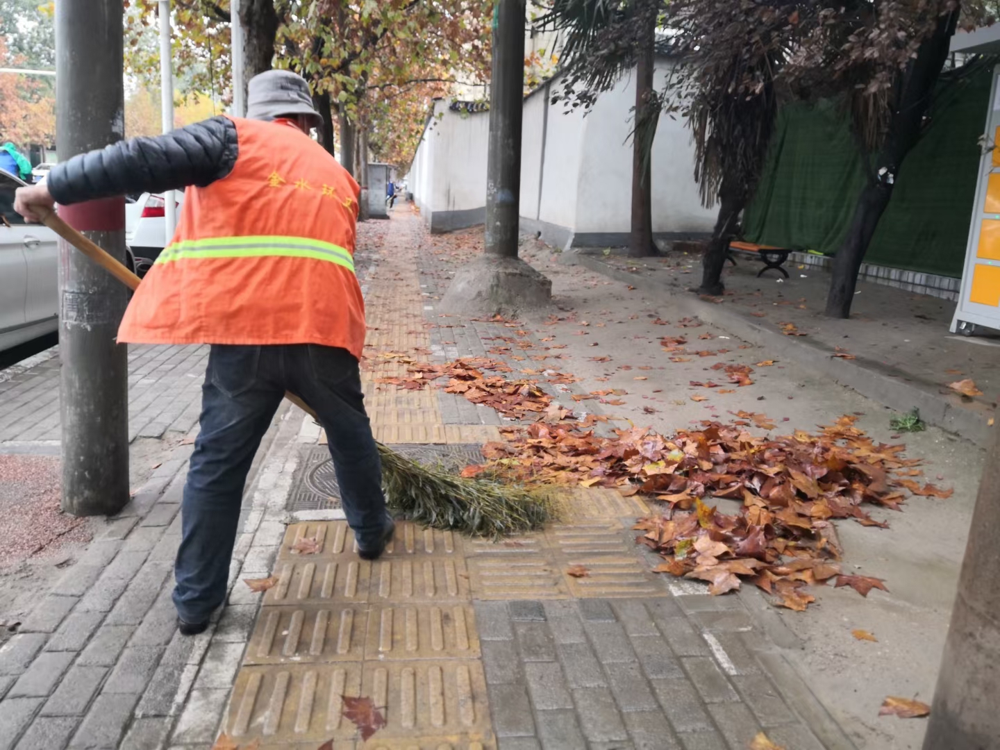 |走访丨初冬的落叶美吗?郑州环卫工及时清扫 市民：能否留住一丝秋韵?