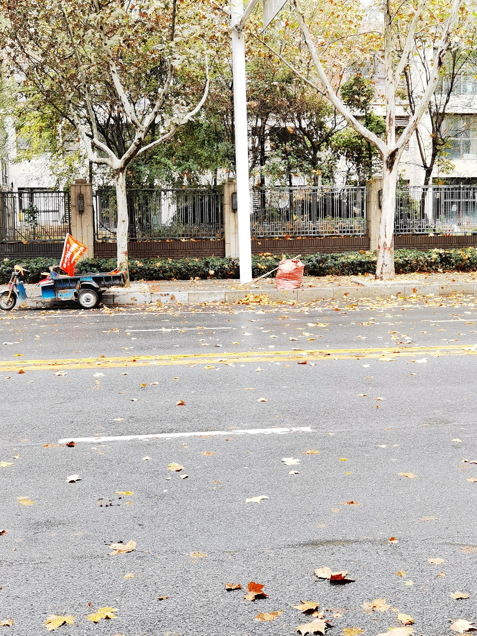 |走访丨初冬的落叶美吗?郑州环卫工及时清扫 市民：能否留住一丝秋韵?