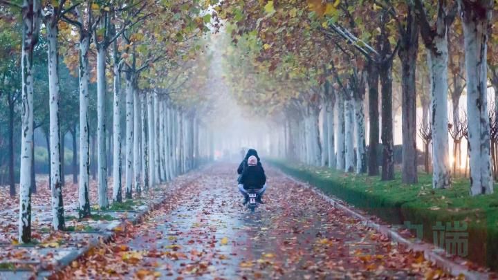 |郑州雨后象湖旁别样“繁花”景