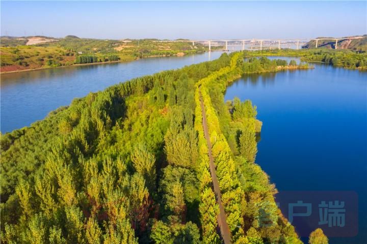 生态优美的黄河湿地