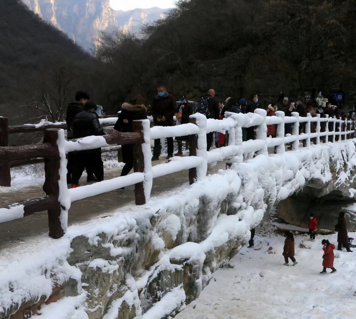 气温大降 云台山现冰雪世界景色