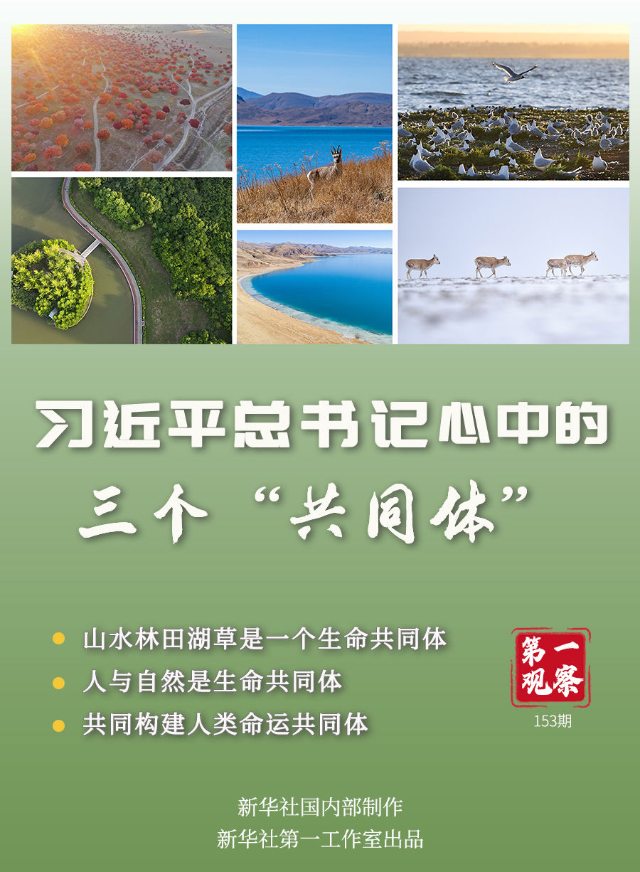 第一观察丨习近平总书记心中的三个“共同体”-手机大河网