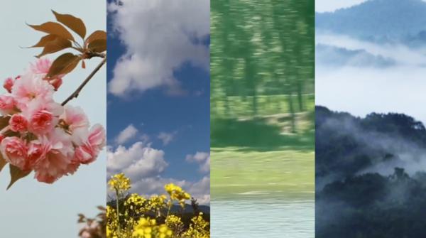 视频丨春分 目光所及皆是春色 手机大河网