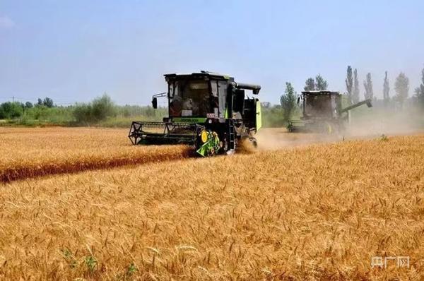“丰”从草原来|现代化大农业让中国碗盛更多“河套粮”