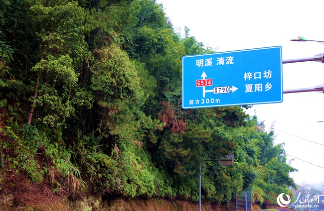 ڷɽطǳʺ Ҷ