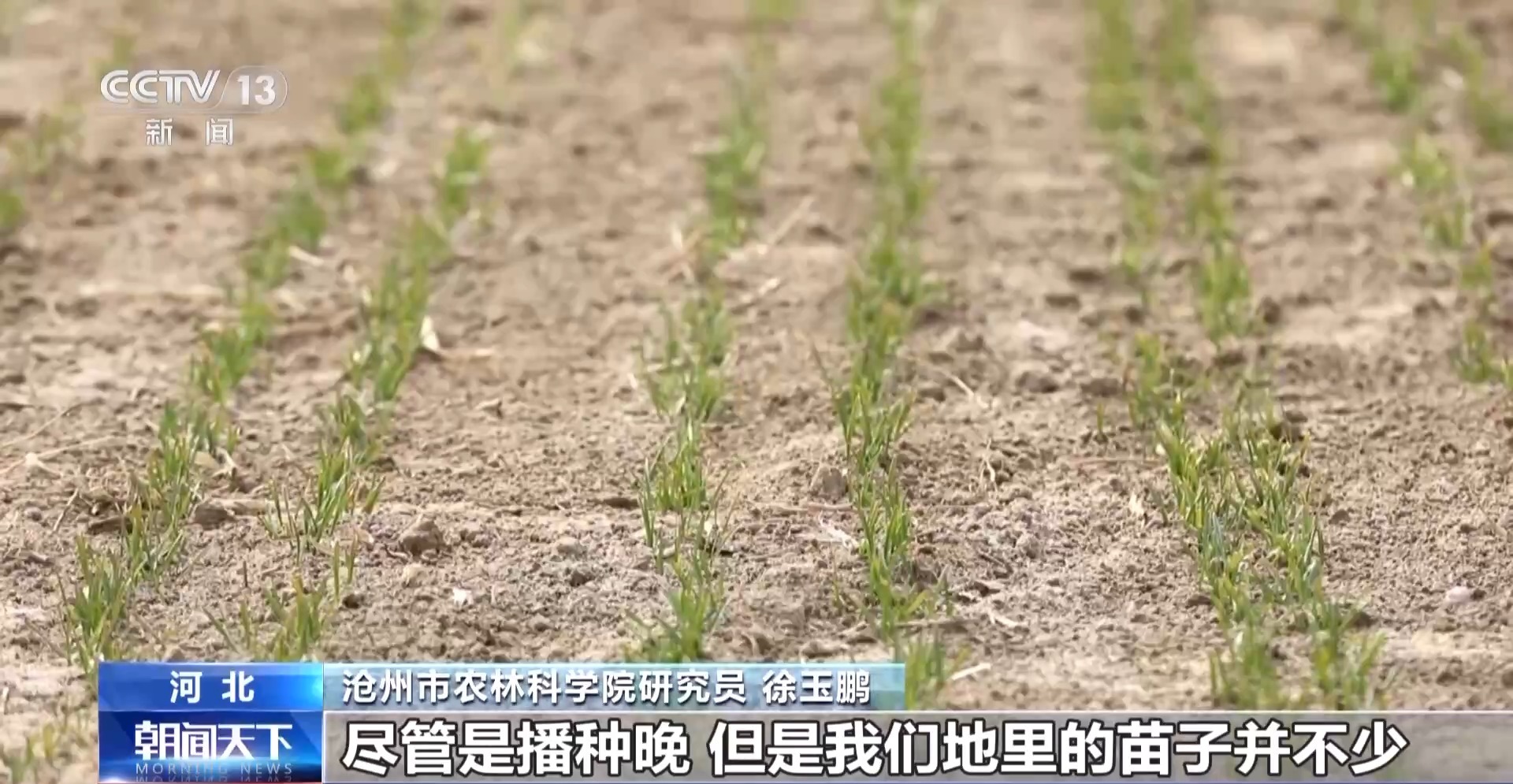 社会化J9九游会 九游会J9服务+标准化管理……各地春耕春管正有序推进(图4)
