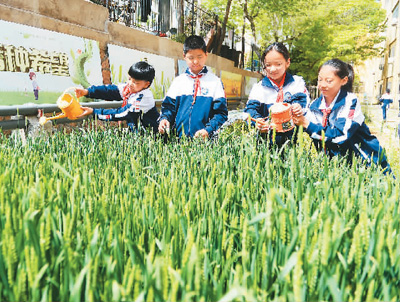 立夏：風(fēng)暖晝長(zhǎng)，萬物并秀