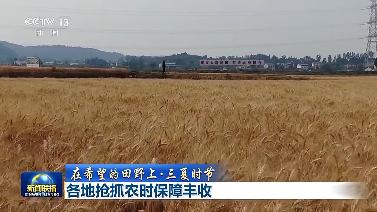 首页>新闻中心>国内新闻>荐读>600_338