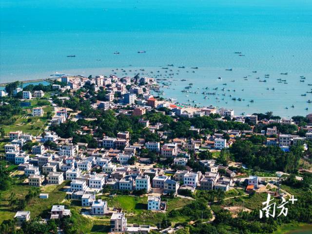湛江东海岛龟头村，整个村子坐落在一个海湾里，因常有中华白海豚出没，有些村民将海湾称为“海豚湾”。陈显耀 摄