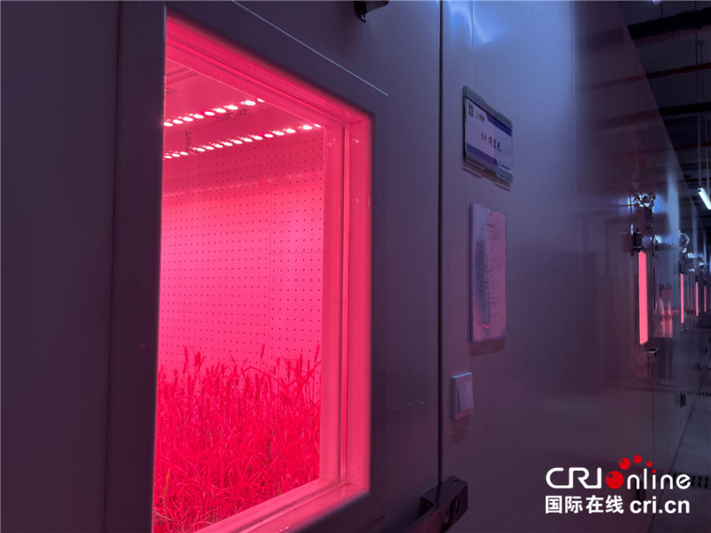 【Amazing 河南】从种子到筷子 河南新乡走出中部崛起“粮安”之路_fororder_微信图片_20240707103806