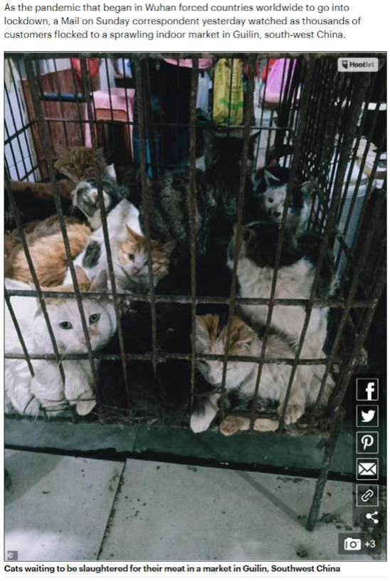 [疫情]全球直击丨新冠肺炎疫情下 看英国媒体如何造假抹黑中国