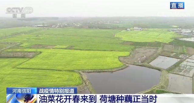 [蔬菜]防疫不放松 春耕不误时：全国从南到北 田野里一片忙碌景象