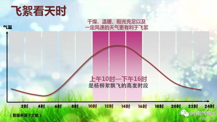 【柳絮】“四月飞雪”愁煞人，气象部门发布防护指南