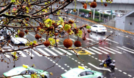 『天气』大风降温降雨又来袭！河南多地将再迎强对流天气！