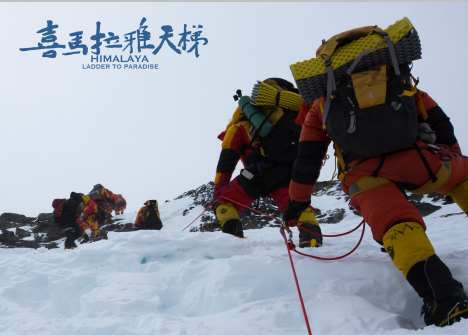 电影|中国类型电影崛起之路：从学习借鉴到中国特色 构建健康多元本土市场