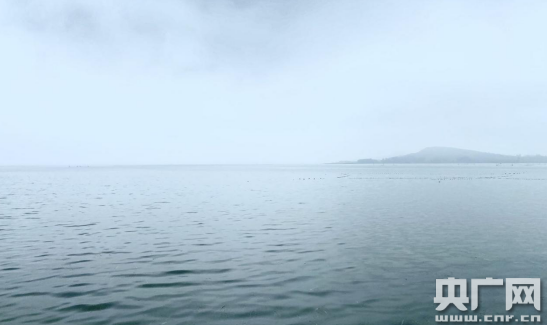 农业|【决胜2020 河南更出彩】河南叶县：村门口的千亩生态庄园