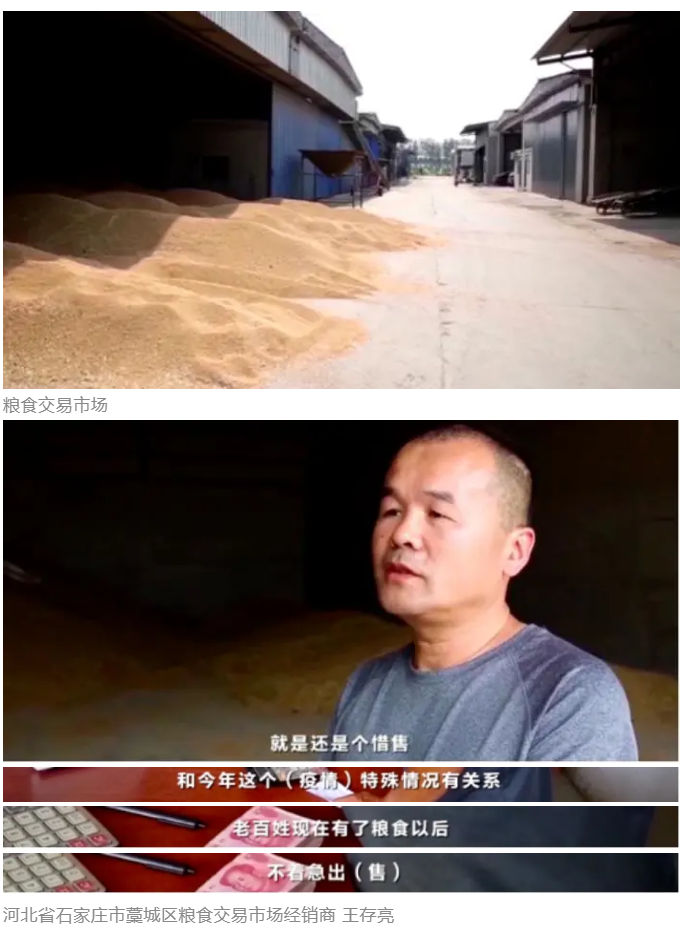 小麦|河南这个县的粮食产量竟够全国人民吃一个星期，原来有“法宝”