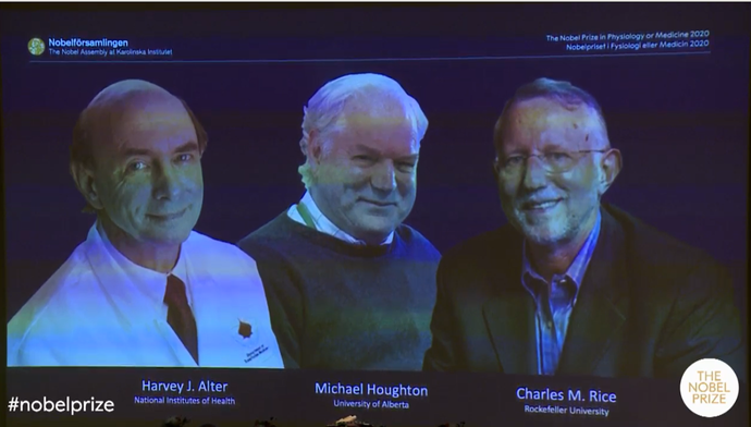|2020年诺贝尔生理学/医学奖公布，三位科学家因发现丙肝病毒获奖