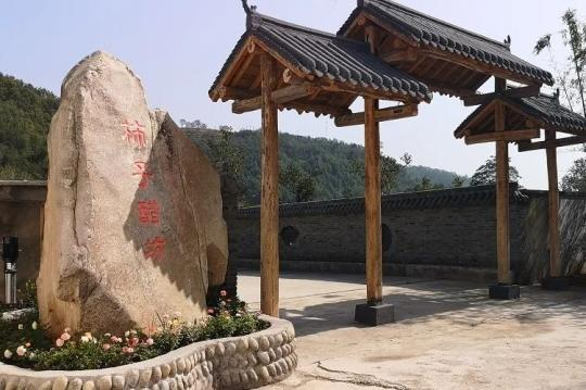 |火车飞进小山村，柿子还能酿成醋？