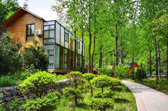 |火车飞进小山村，柿子还能酿成醋？