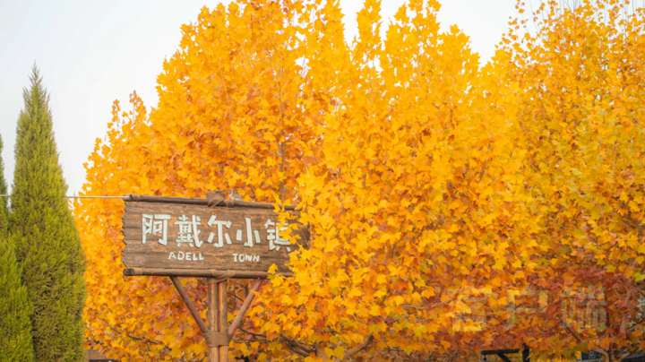 |初冬的暖阳里，来一场方特彩色梦幻之旅