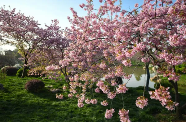 [武汉生活]武汉，我们准备好拥抱你了！