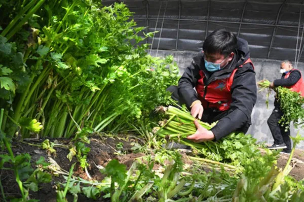 [武汉生活]武汉，我们准备好拥抱你了！