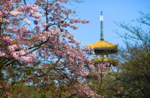 [武汉生活]武汉，我们准备好拥抱你了！