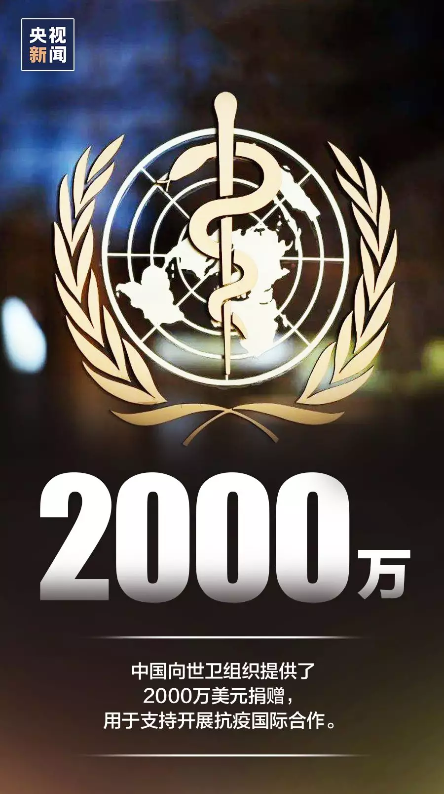 []这就是中国担当！