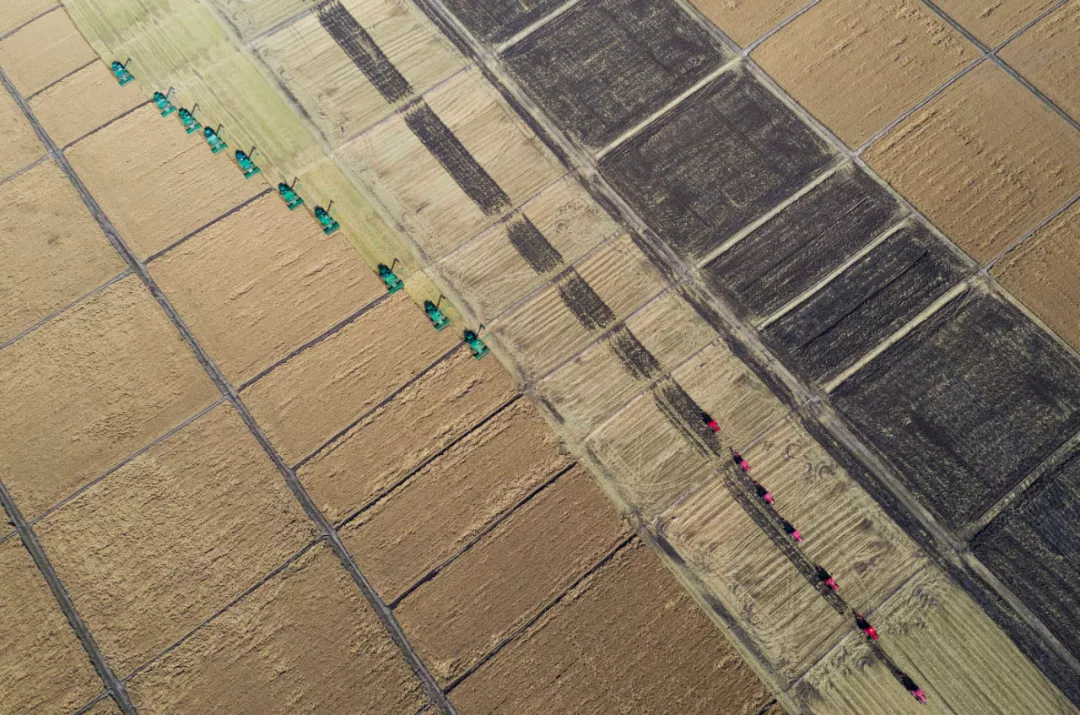 农业：有人在囤米面油？官方回应来了：这个，真没必要