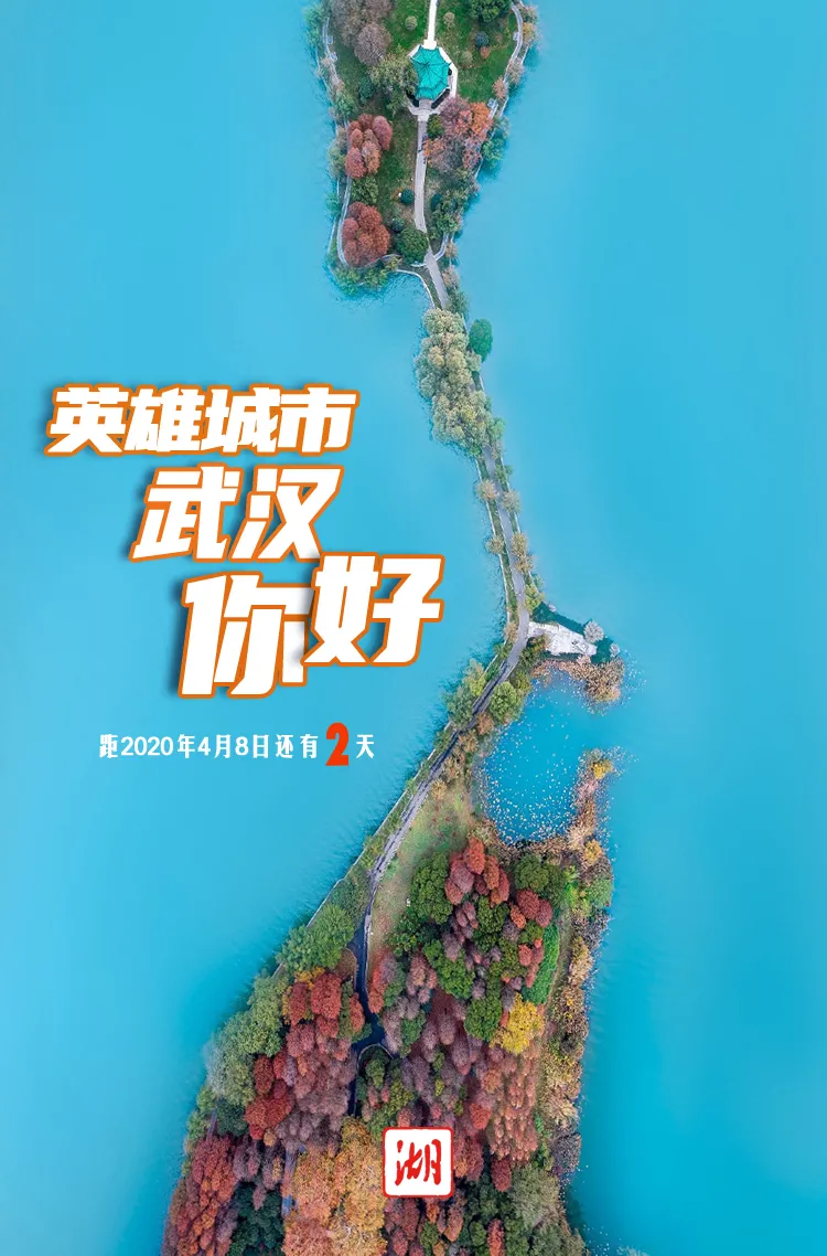 「武汉市」雷神山ICU呼吸机集体“休假”，网友：这是最想看的画面