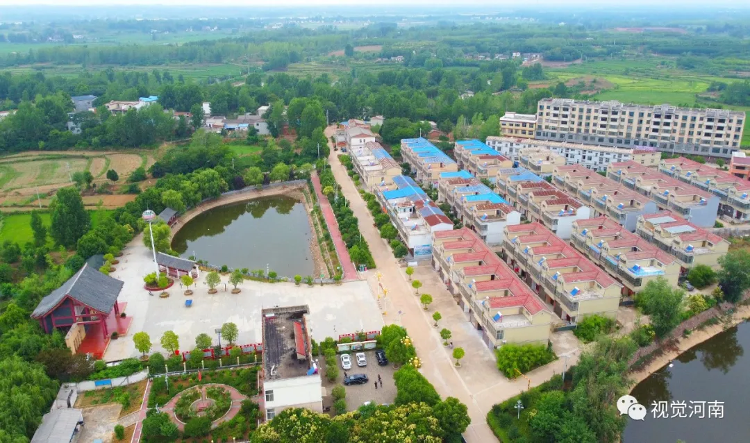 晏岗村里的“数字青年”