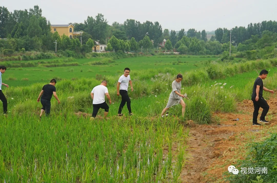 晏岗村里的“数字青年”