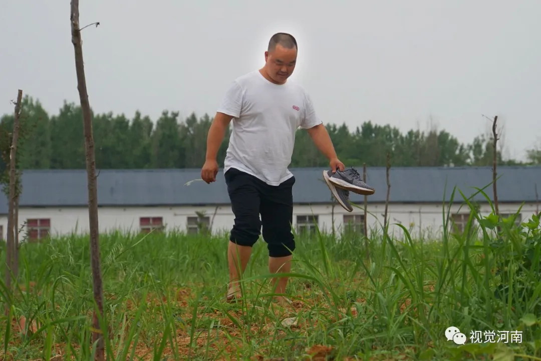 晏岗村里的“数字青年”