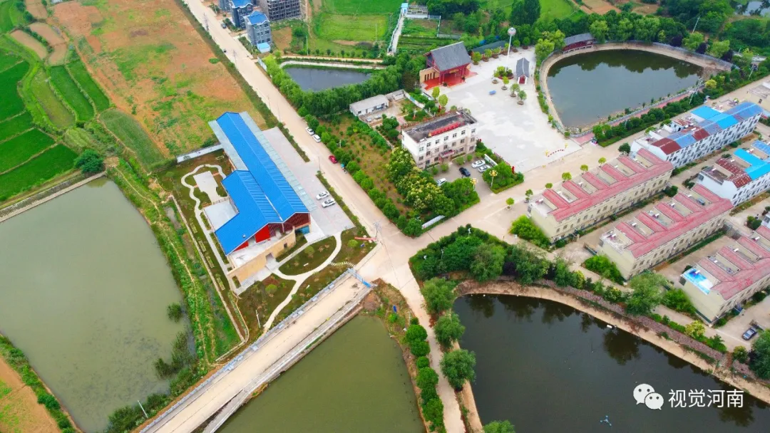 晏岗村里的“数字青年”