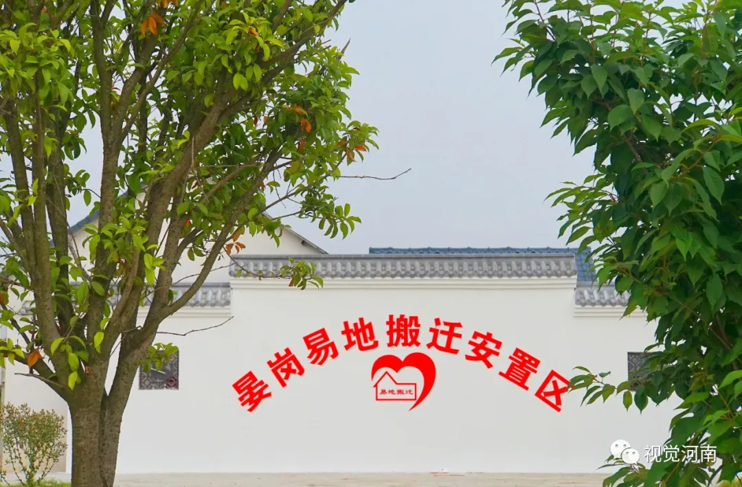 晏岗村里的“数字青年”