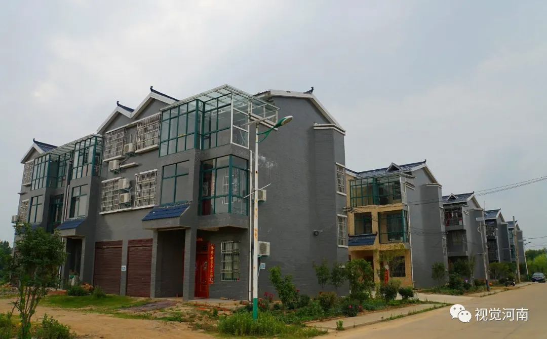 晏岗村里的“数字青年”