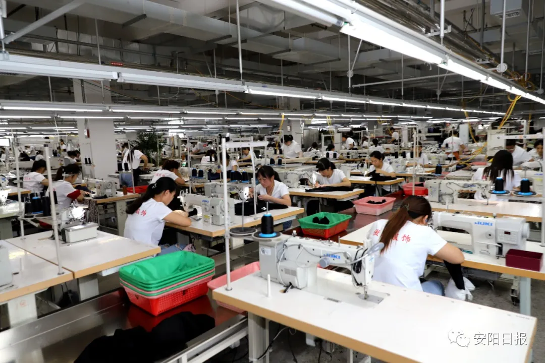 新材料|全市重点项目观摩：交流学习找差距 加压奋进促发展